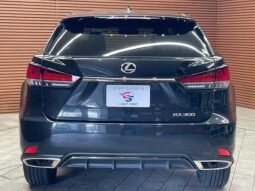 
										LEXUS RX RX300 F SPORT full									