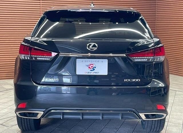 
								LEXUS RX RX300 F SPORT full									