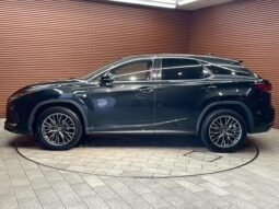 
										LEXUS RX RX300 F SPORT full									