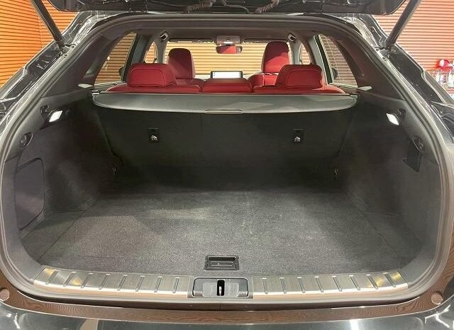 
								LEXUS RX RX300 F SPORT full									
