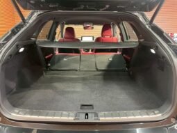 
										LEXUS RX RX300 F SPORT full									