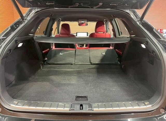 
								LEXUS RX RX300 F SPORT full									