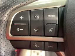 
										LEXUS RX RX300 F SPORT full									