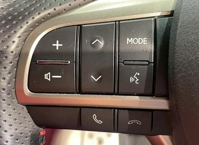
								LEXUS RX RX300 F SPORT full									
