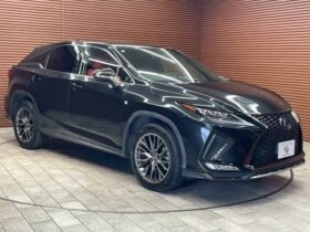 LEXUS RX RX300 F SPORT