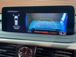 
										LEXUS RX RX300 F SPORT full									