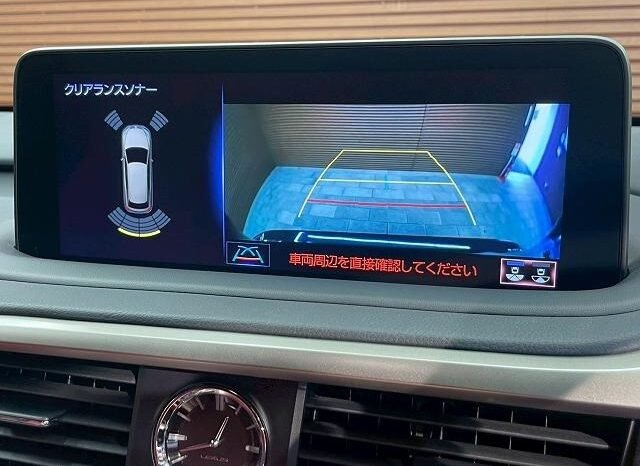 
								LEXUS RX RX300 F SPORT full									