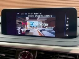 
										LEXUS RX RX300 F SPORT full									