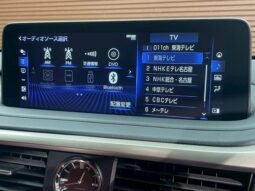 
										LEXUS RX RX300 F SPORT full									