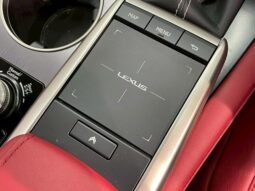 
										LEXUS RX RX300 F SPORT full									