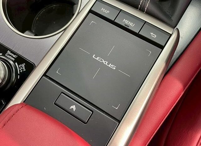 
								LEXUS RX RX300 F SPORT full									