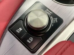 
										LEXUS RX RX300 F SPORT full									