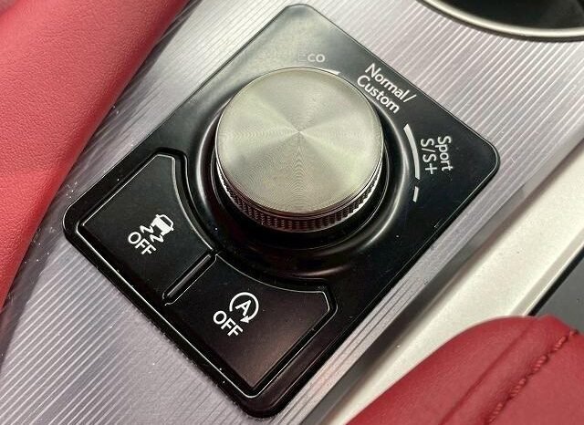 
								LEXUS RX RX300 F SPORT full									