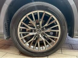 
										LEXUS RX RX300 F SPORT full									