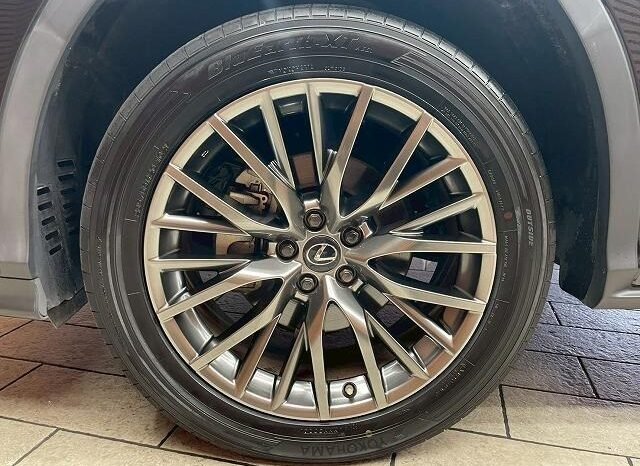 
								LEXUS RX RX300 F SPORT full									