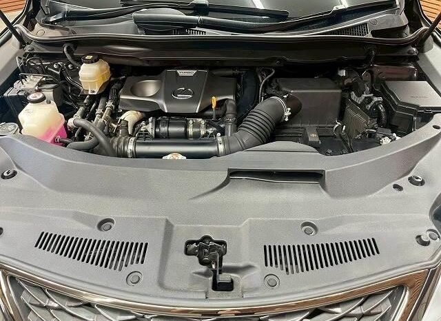 
								LEXUS RX RX300 F SPORT full									