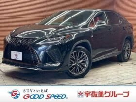 LEXUS RX RX300 F SPORT