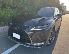 LEXUS RX 300 SPORTS