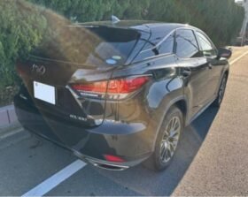 LEXUS RX 300 SPORTS